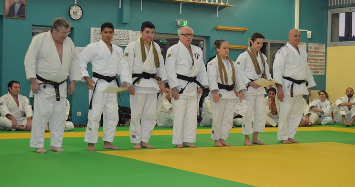 club judo avignon